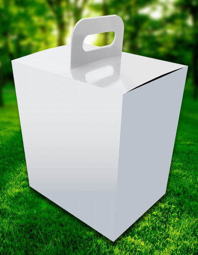 Catering Box 230x180x260(h)mm white kopia.jpg