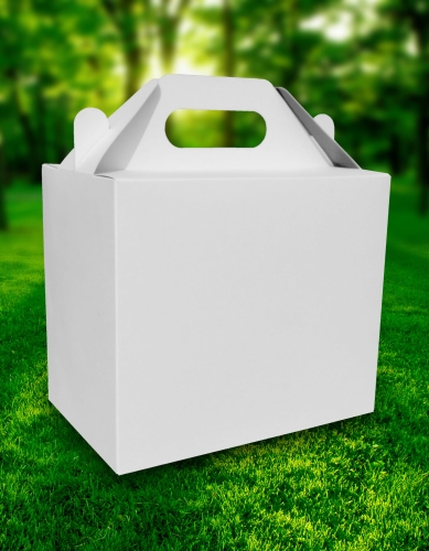 Catering Box 250x160x215(h)mm white kopia.jpg